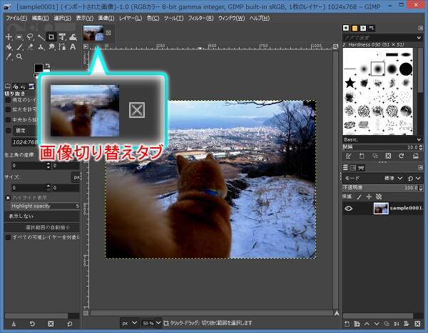 画像を1つ開いたキャンバスの状態 画像を1つ開いたキャンバスの状態