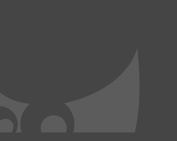 キャンバス キャンバス