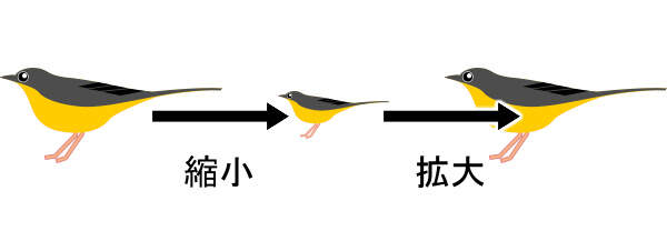ベクタ画像での拡大 ベクタ画像での拡大