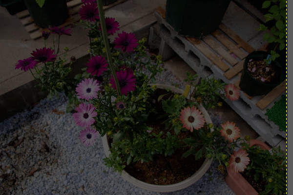 1. 補正前の写真