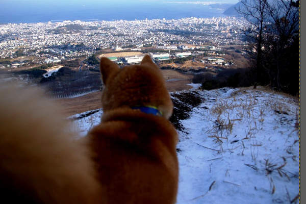 1. 画像を開く 1. 画像を開く