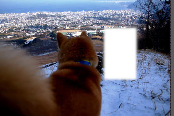 7. 切り取り結果 7. 切り取り結果