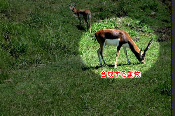 1. 合成元の写真を開く 1. 合成元の写真を開く