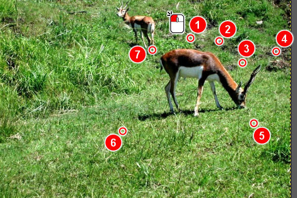 4. クリックでつなげる 4. クリックでつなげる