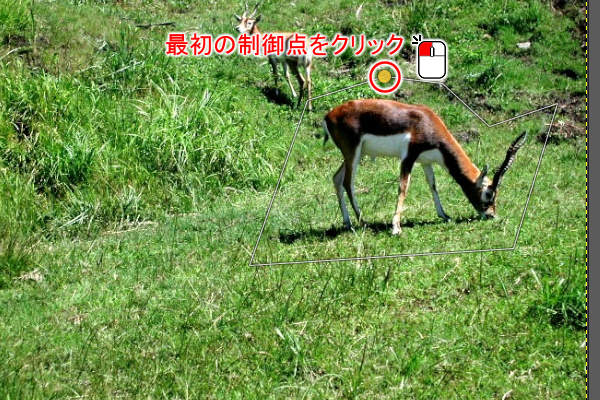 6. 囲みを閉じる 6. 囲みを閉じる