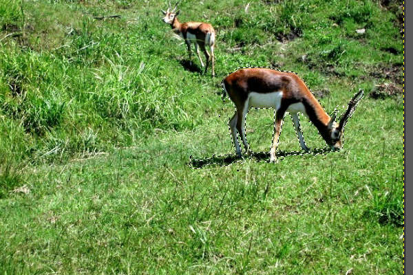 17. 選択範囲がぼける 17. 選択範囲がぼける