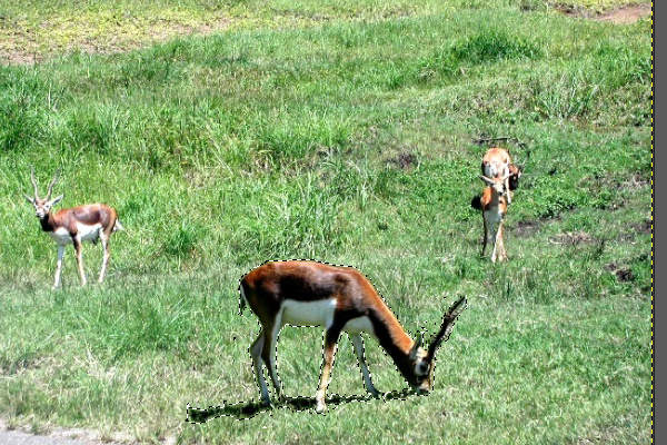 22. フローティングレイヤを移動 22. フローティングレイヤを移動