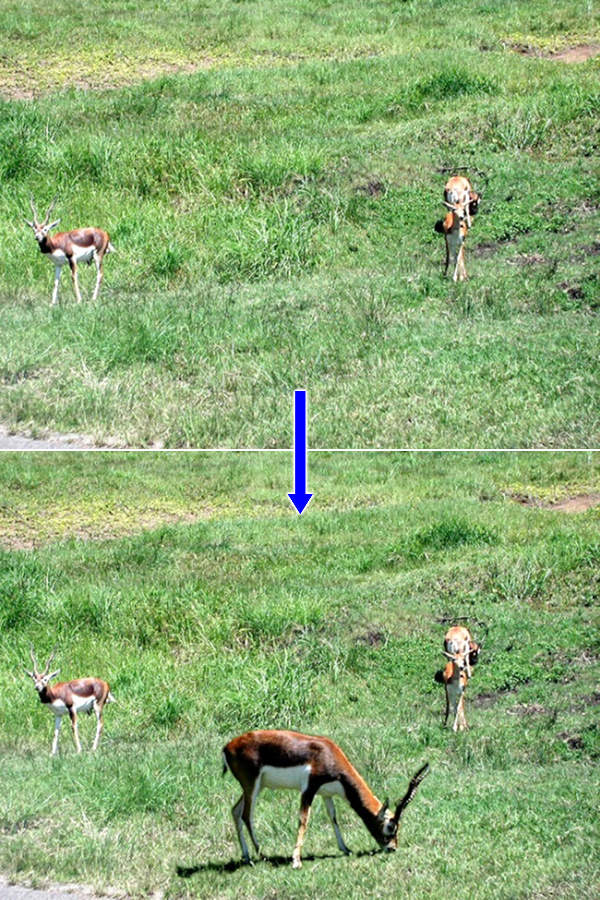 34. 合成前と合成後の写真 34. 合成前と合成後の写真