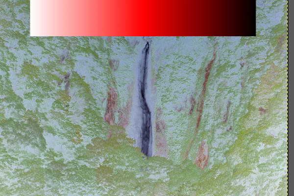 22. 明度を反転させた画像