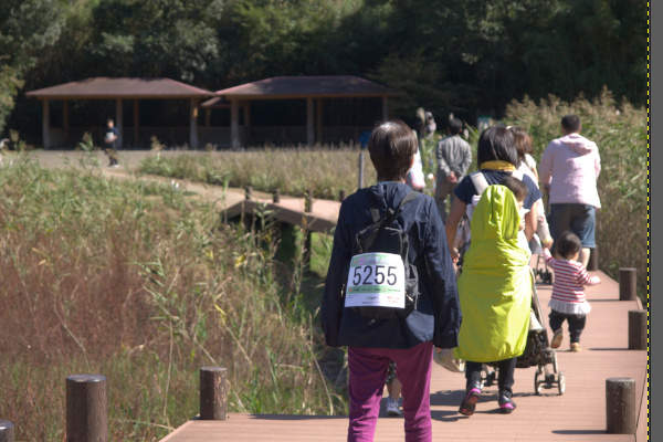 4. 補正後の写真 4. 補正後の写真