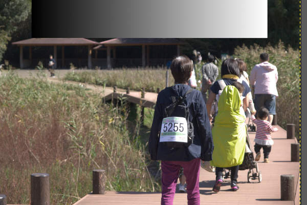 1. 補正前の写真 1. 補正前の写真