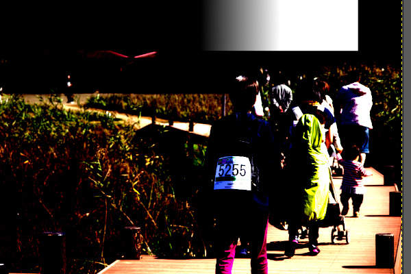 13. 補正中の画像 13. 補正中の画像