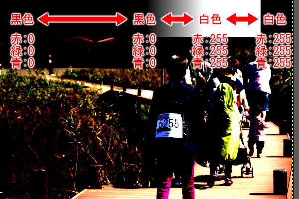 14. モノクロバーの変化 14. モノクロバーの変化