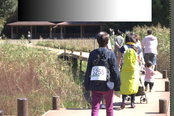 16. 補正中の画像 16. 補正中の画像