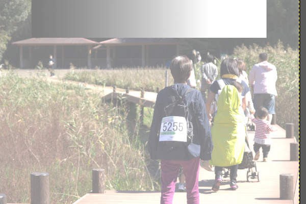 20. 補正後の画像 20. 補正後の画像