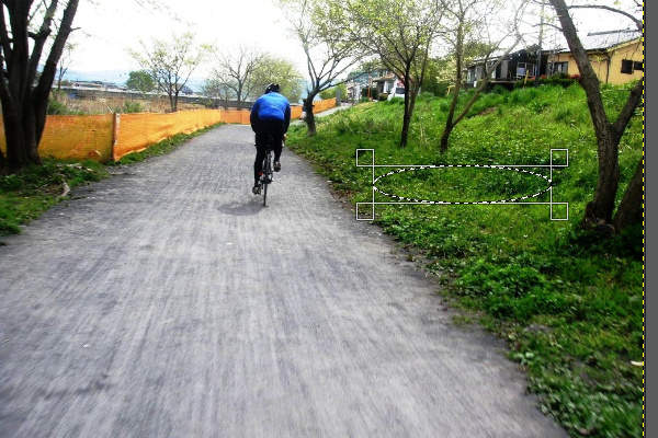 4. 反転後の画像