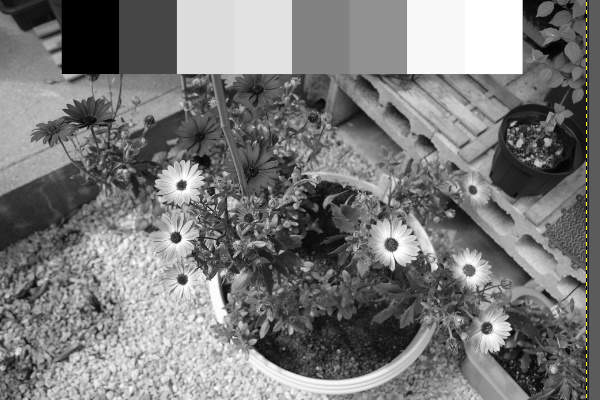 3. 補正後の写真