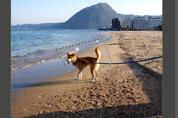 6. 選択範囲 6. 選択範囲