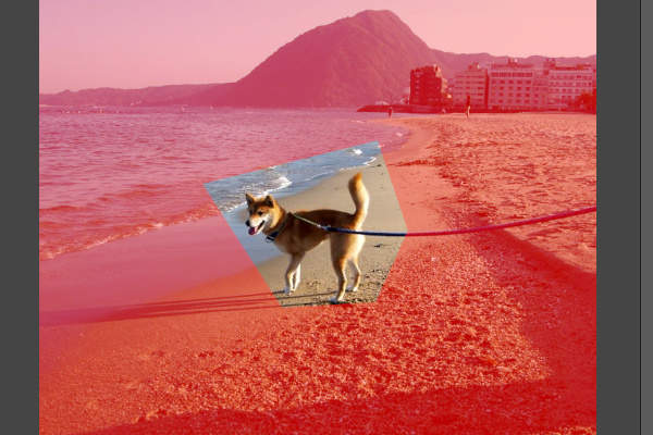 8. チャンネルの内容 8. チャンネルの内容