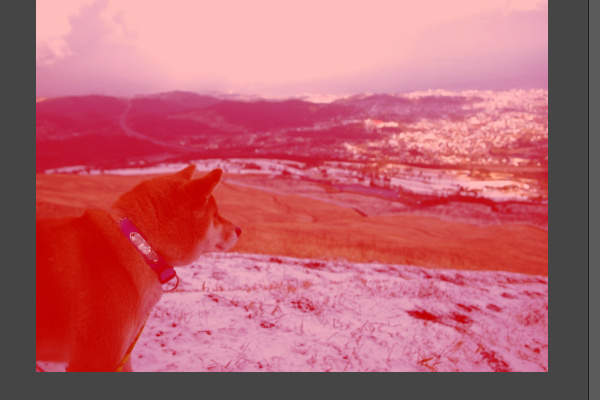 3. チャンネルの内容 3. チャンネルの内容