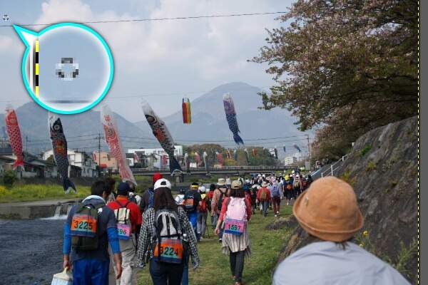 5. 転写元が確定