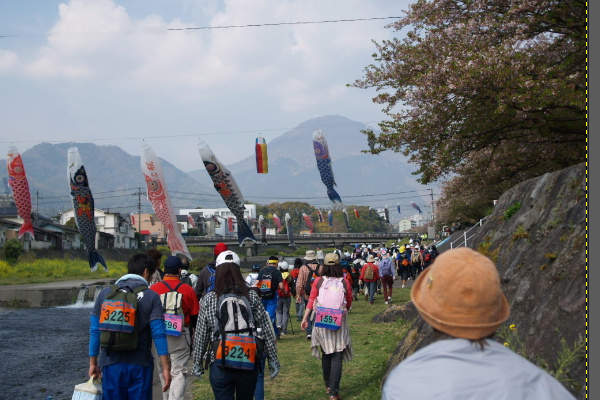 10. 転写中の写真