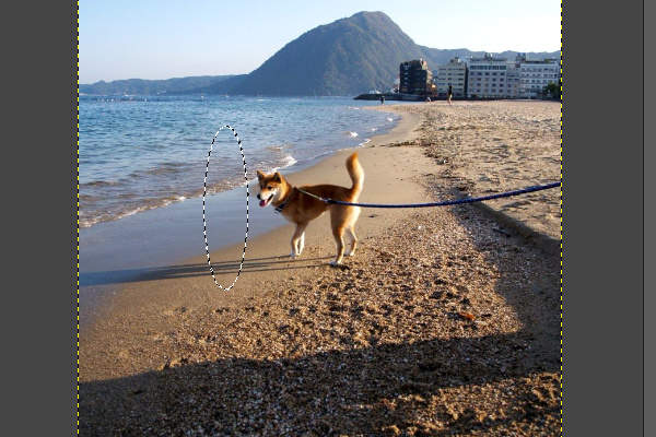 4. 回転後の画像