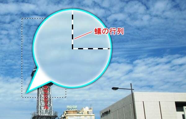 蟻の行列 蟻の行列