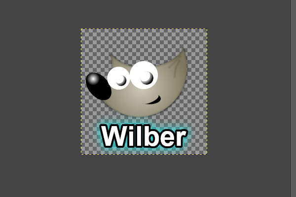6. 現在のウィルバー君の姿 6. 現在のウィルバー君の姿