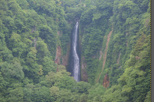 1. 補正前の写真 1. 補正前の写真