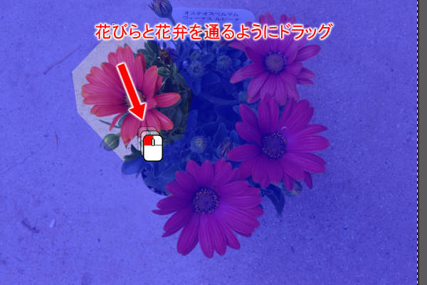 9. 左上の花をドラッグ