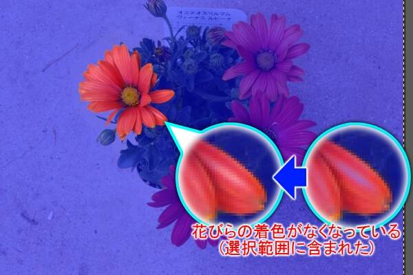 12. 選択が欠けていた部分が修正される