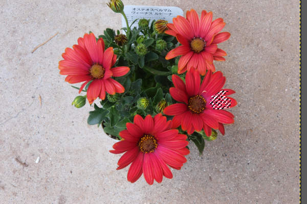 4. 連続する類似色が選択される