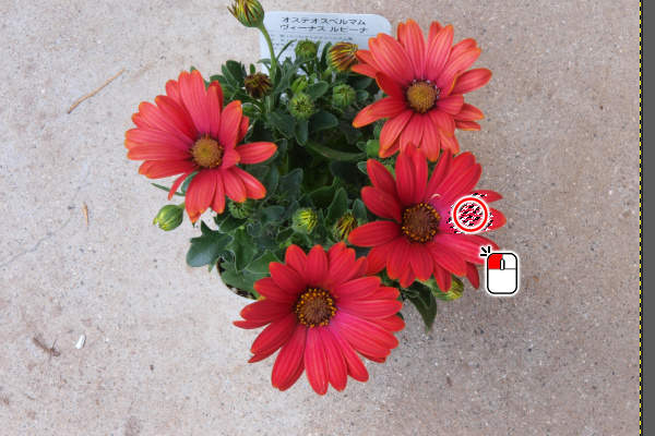 7. 赤色の場所をクリック