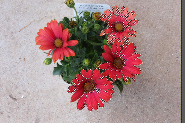 8. 連続する類似色が選択される