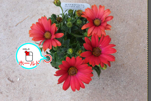 11. 緑色の場所からドラッグ開始