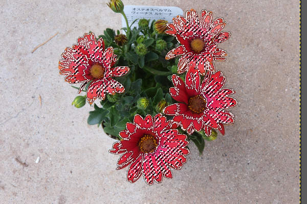 6. 囲みが広がる