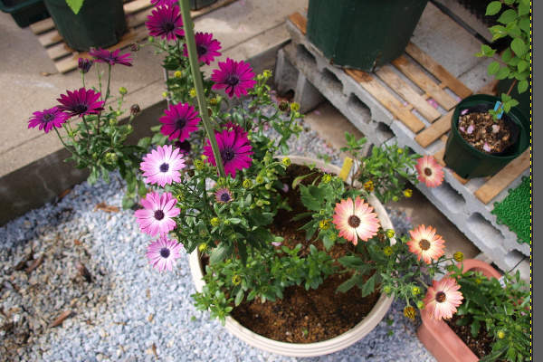 1. 画像を開く 1. 画像を開く